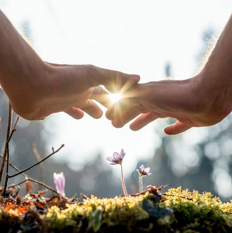 Reiki Challans Reiki Challans